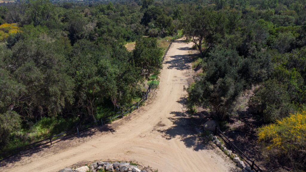 DJI_0536