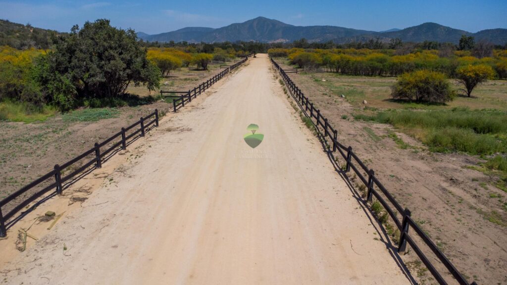 DJI_0541